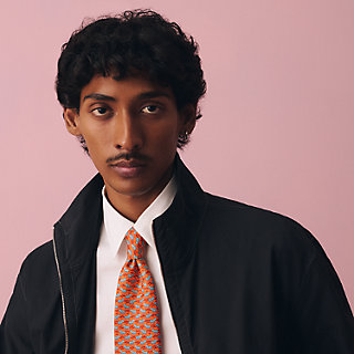 シルクタイ 《ゼブラ》 | Hermès - エルメス-公式サイト